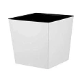 London Cube