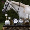 Horse club