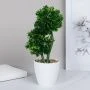 Цветы искусственные в горшке Самшит 28см пластик 9090-9 (12/72)