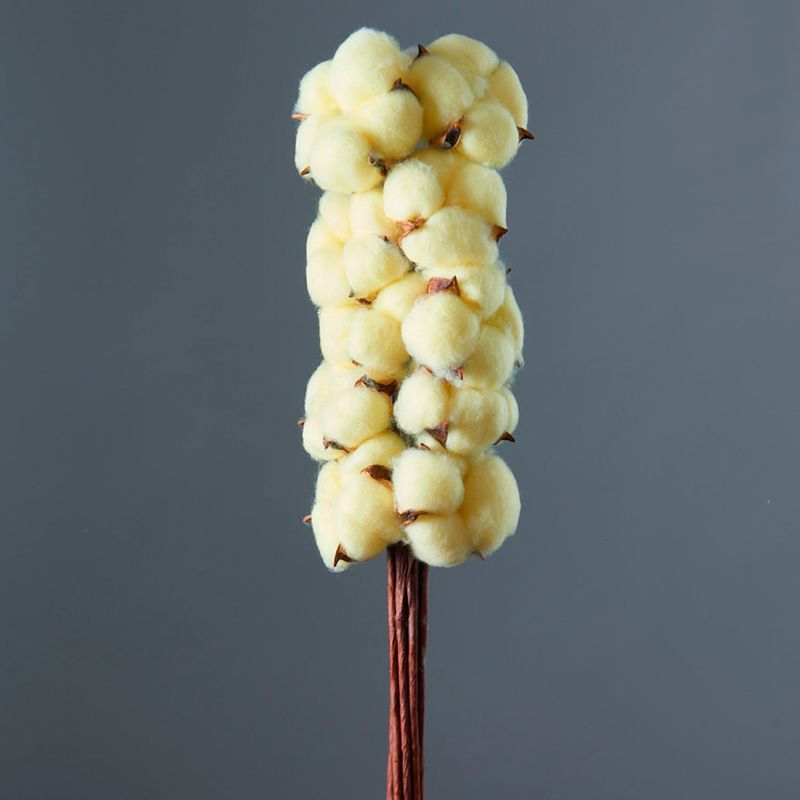 Сухоцвет Хлопок букет молочный 10 шт