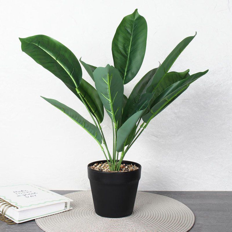 Цветочная композиция Фикус 45 см ZH-007 (48)