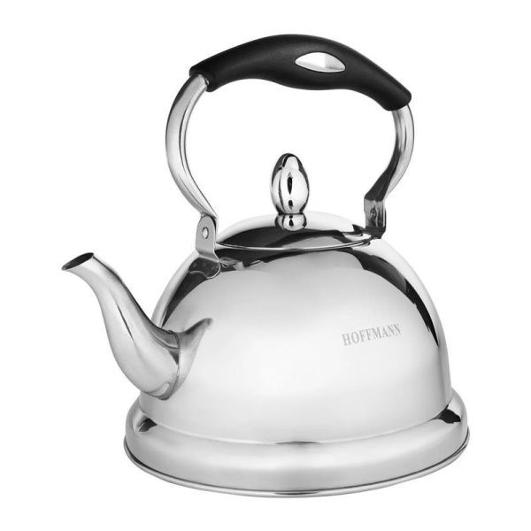 Чайник 3л нерж.сталь с син.ручкой матовый (12)