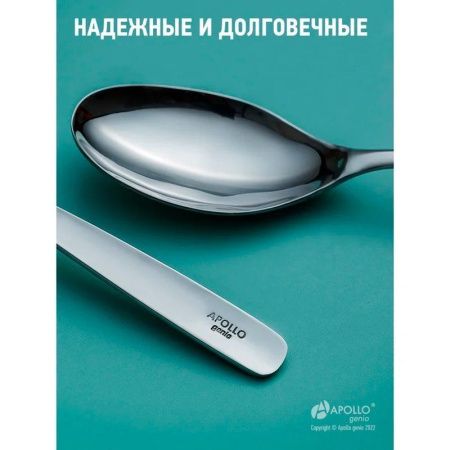 Ложки столовые набор 2шт нерж.сталь Rona RON-42 (12/96)
