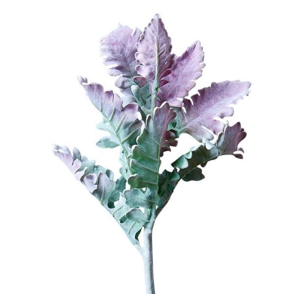 Цветы искусственные Ветка крестовника пепельного зеленый 38см