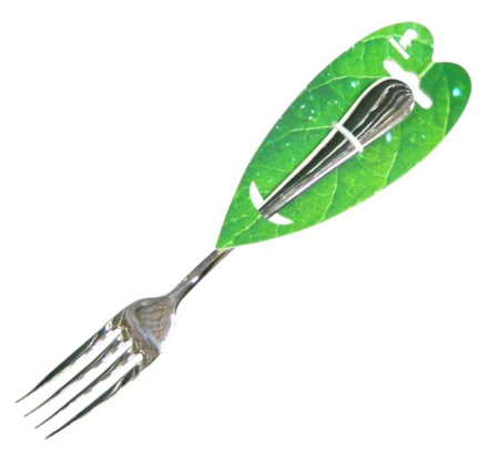 Вилка столовая 20,5*2,5см металл 1010 JC-415 (288)