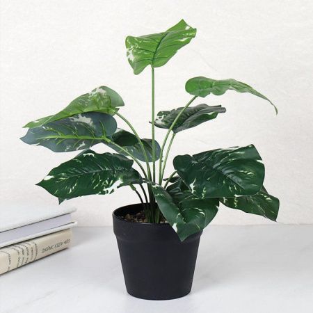 Цветочная композиция Сциндапсус 40см  ZH-009 (48)