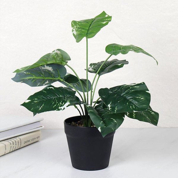 Цветочная композиция Сциндапсус 40см  ZH-009 (48)