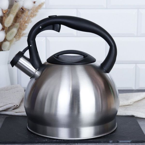 Чайник со свистком 3л нерж.сталь стальной JX-096 (12)