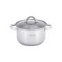 Кастрюля 3,9л нерж.сталь со стекл.крышкой 20см 5-ти сл.дно арт.5620S (8)