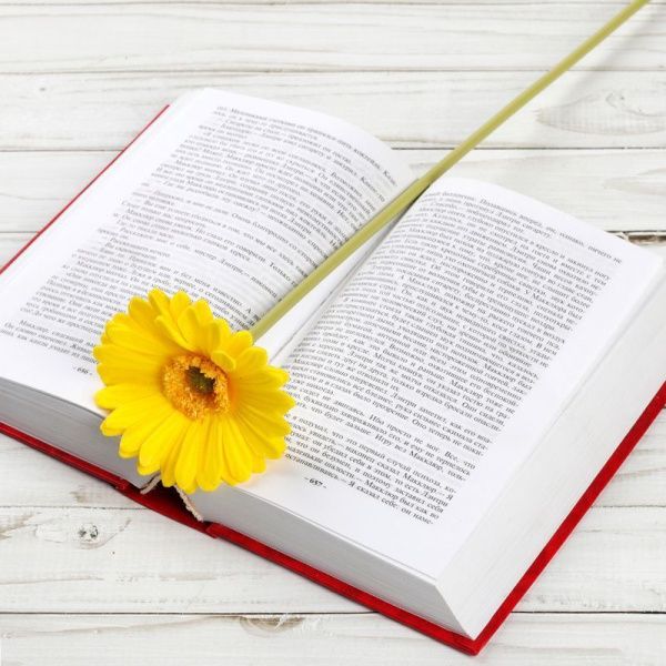 Цветы искусственные Гербера желтый 43см латекс 1501 (56/560)