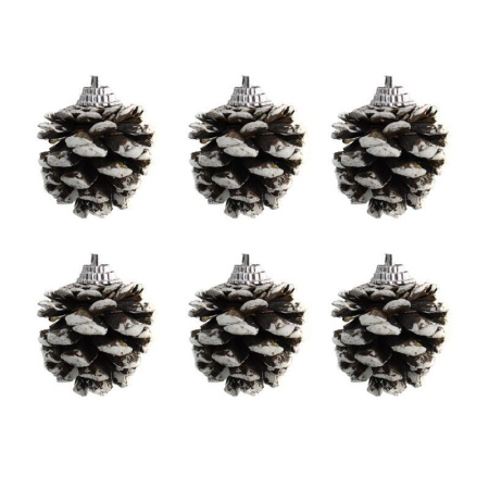 Игрушки новогодние на елку ШИШКИ набор 6шт d4см А-221/JC-14572 (288)