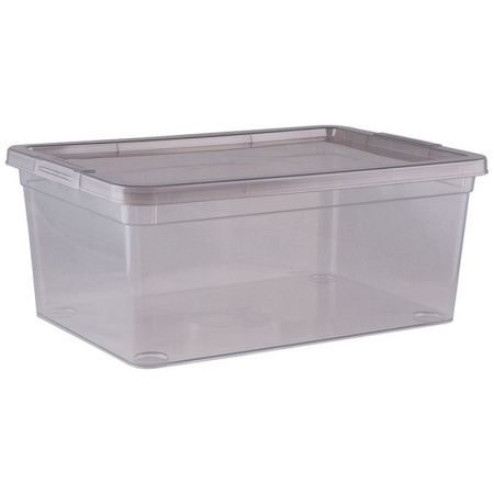Контейнер для мелочей 3,5л 259*182*106мм пластик MYSTERY (11)