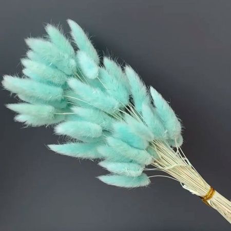 Сухоцвет Лагурус тиффани 60-70см (60)