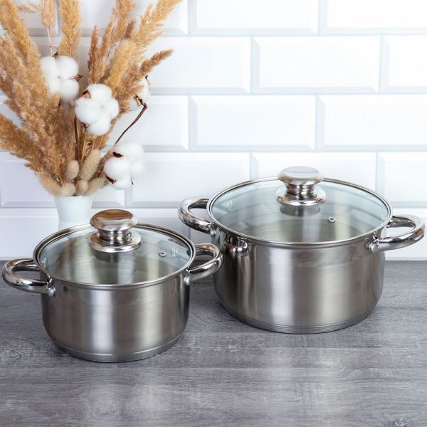 Набор кастрюль 2шт 2,5/4,5л нерж.сталь АРИЯ со стекл.крышками индукция FGN-2.5-4.5 (1