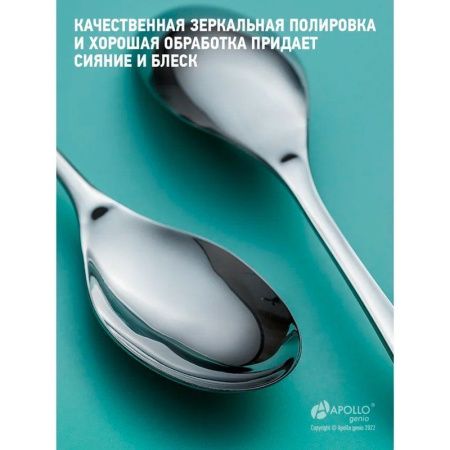 Ложки столовые набор 2шт нерж.сталь Rona RON-42 (12/96)