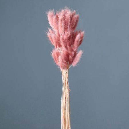 Сухоцвет Лагурус светло-карамельный 60-70см 4640108868193 (60)