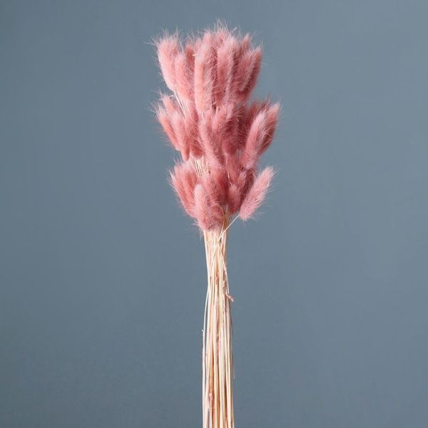 Сухоцвет Лагурус светло-карамельный 60-70см 4640108868193 (60)