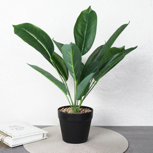 Цветочная композиция Фикус 45 см ZH-007 (48)