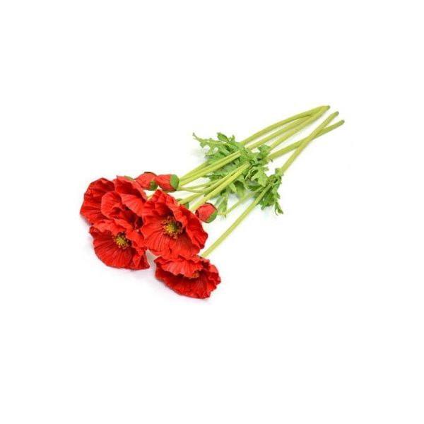 Цветы искусственные Мак 70см латекс JY-5E (24/288)