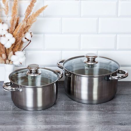 Набор кастрюль 2пр 3,5/6л нерж.сталь Ария со стекл.крышками индукция FGN-3.5-6 (1)