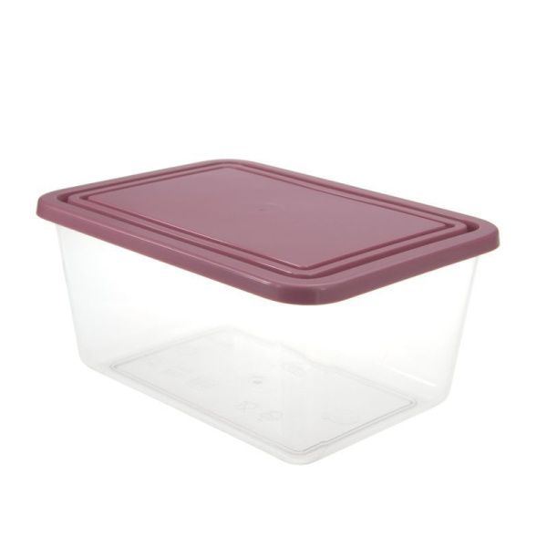 Контейнер пищевой 800мл пластик Ягодный прямоугольный (40)